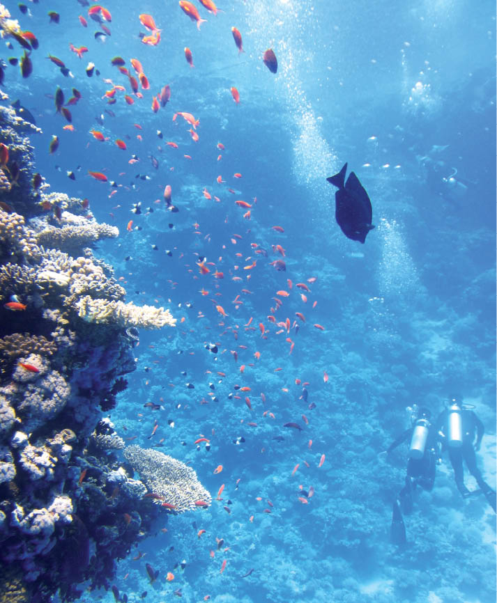 Technologies for Deep Ocean Exploration